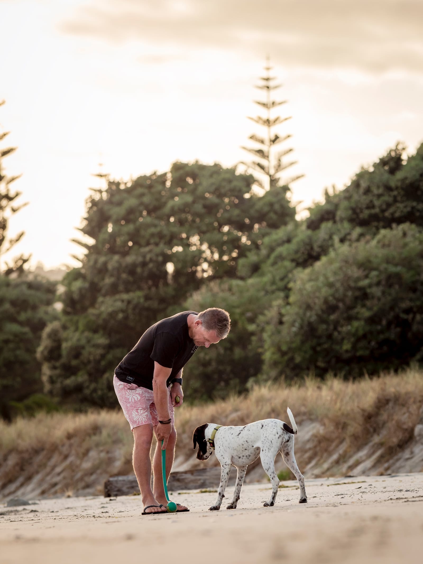 Dog owner beach puppy playing