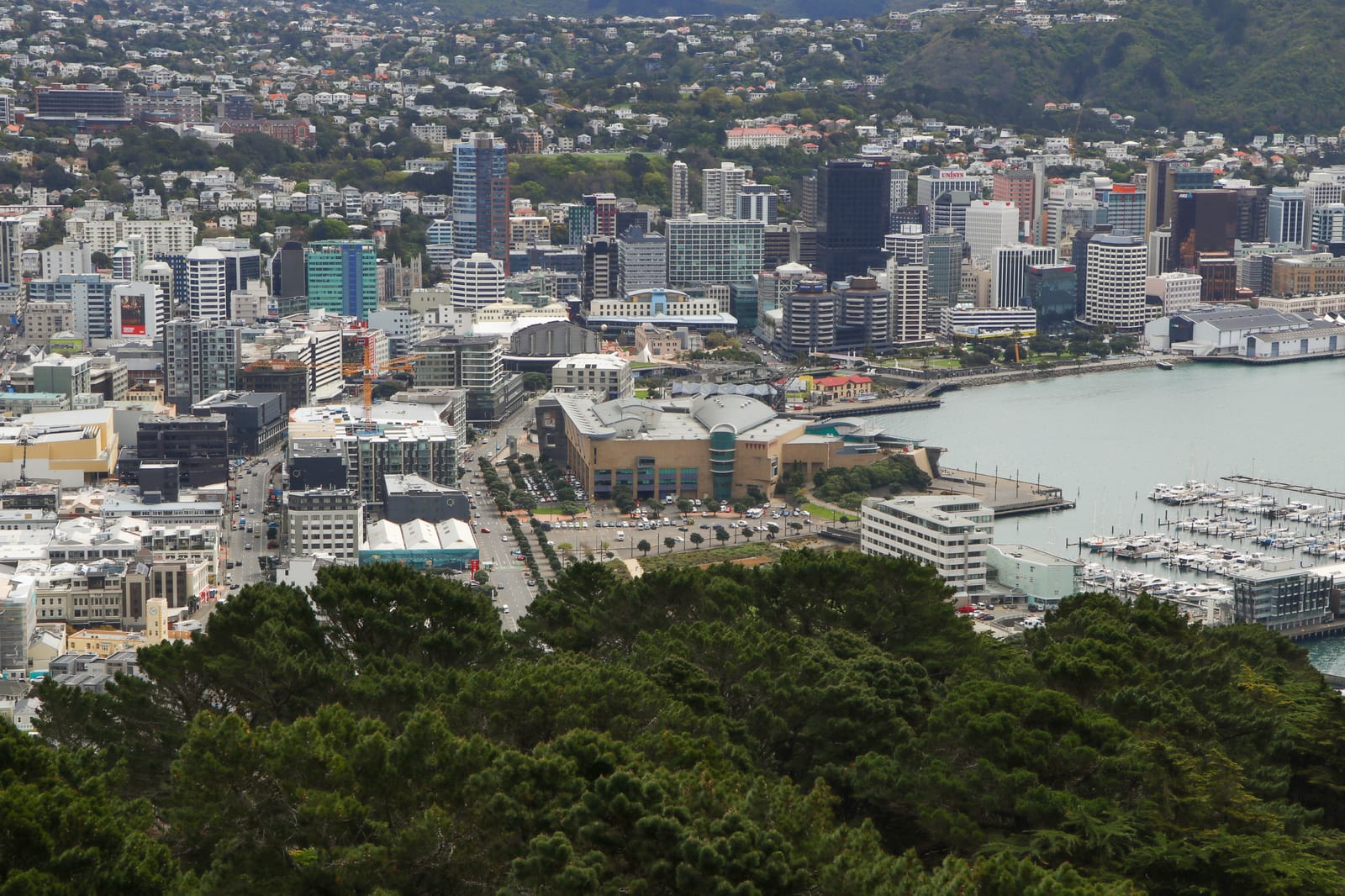 Te Papa, Museum of New Zealand