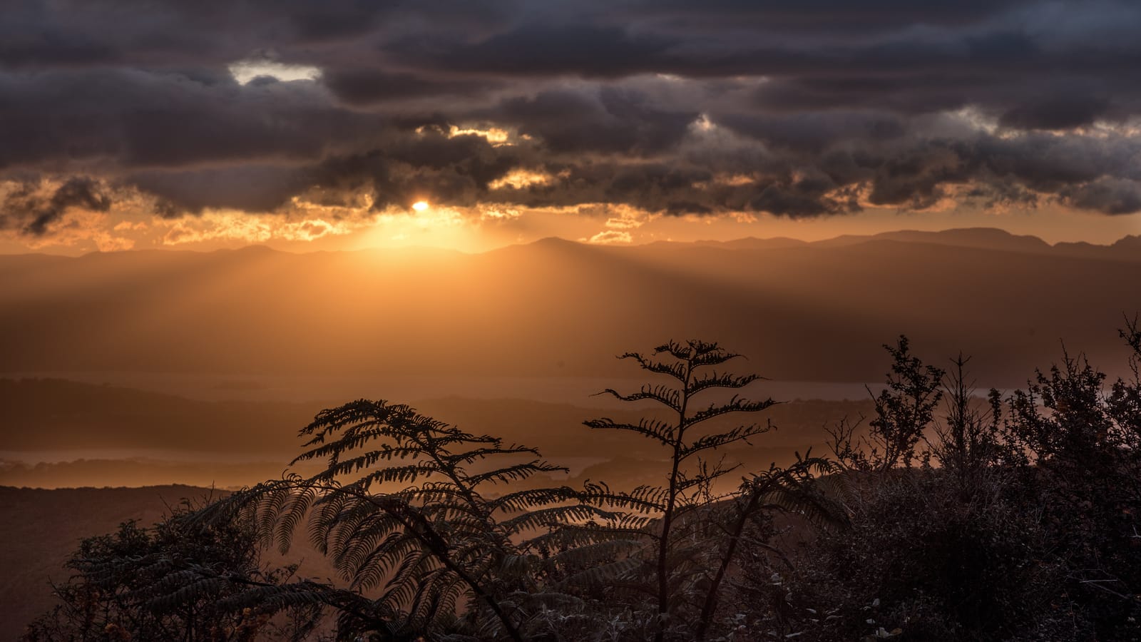 Hawkins Hill sunrise, Wellington