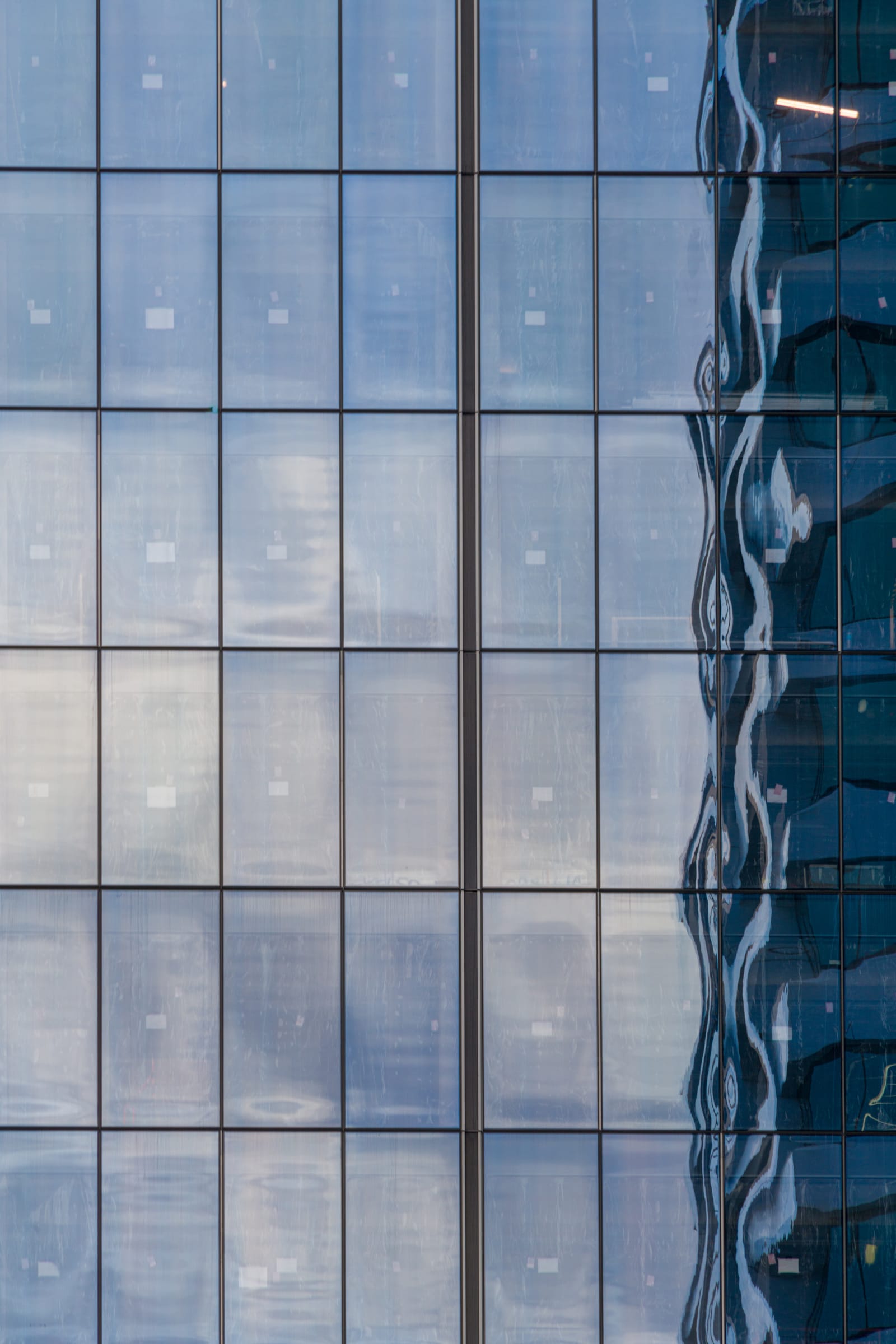 Window with reflections