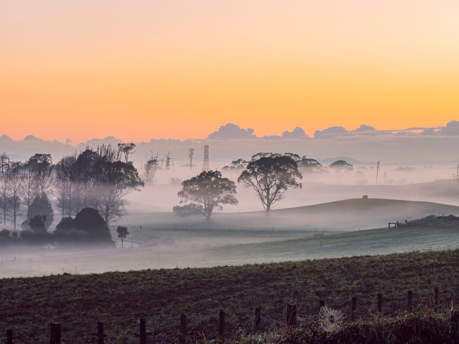 Rural landscape with morning mist fog