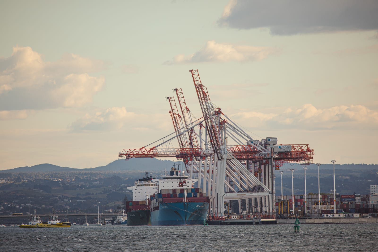 Container cranes at work in Tauranga