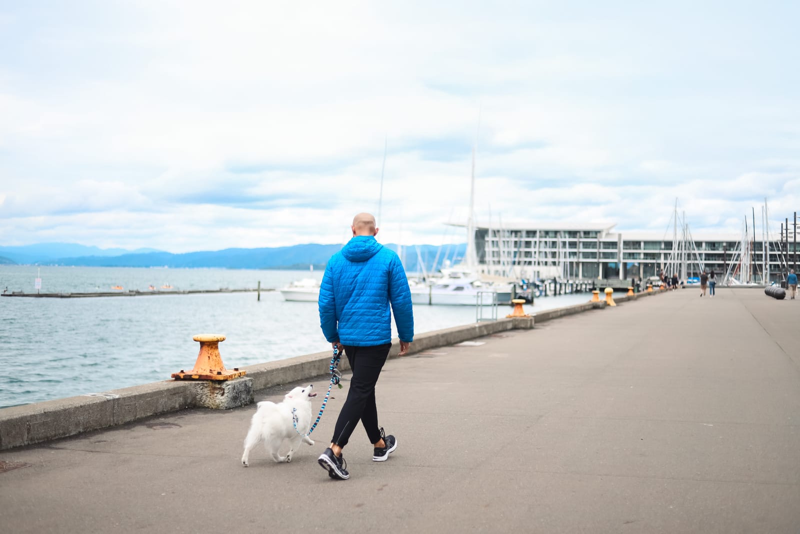 Man walking dog along waterfront promenade