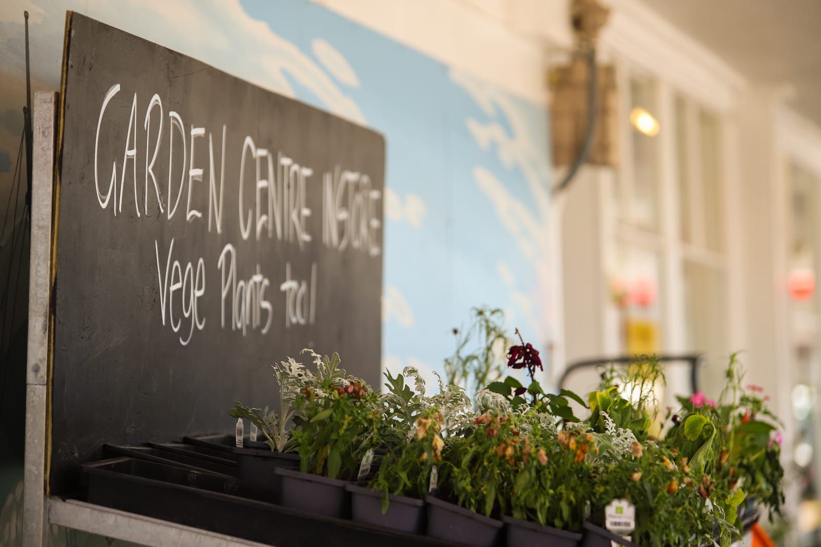 Garden centre notice, Foxton