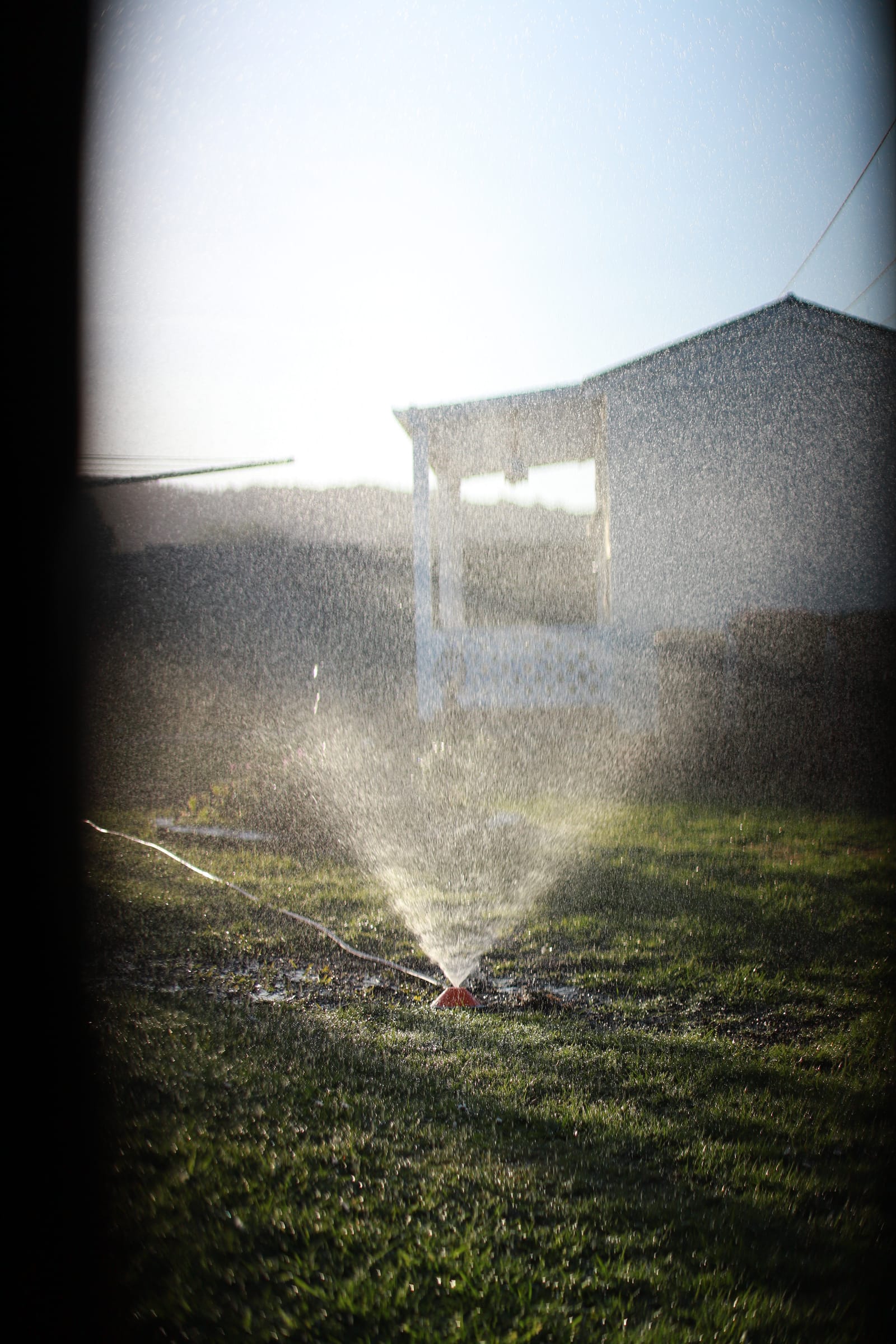 Sprinkler Spray