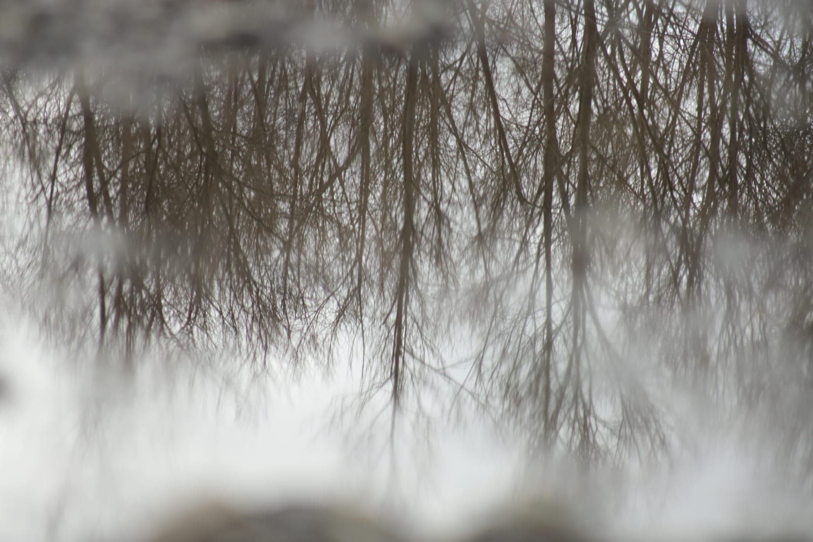 Tree Reflection