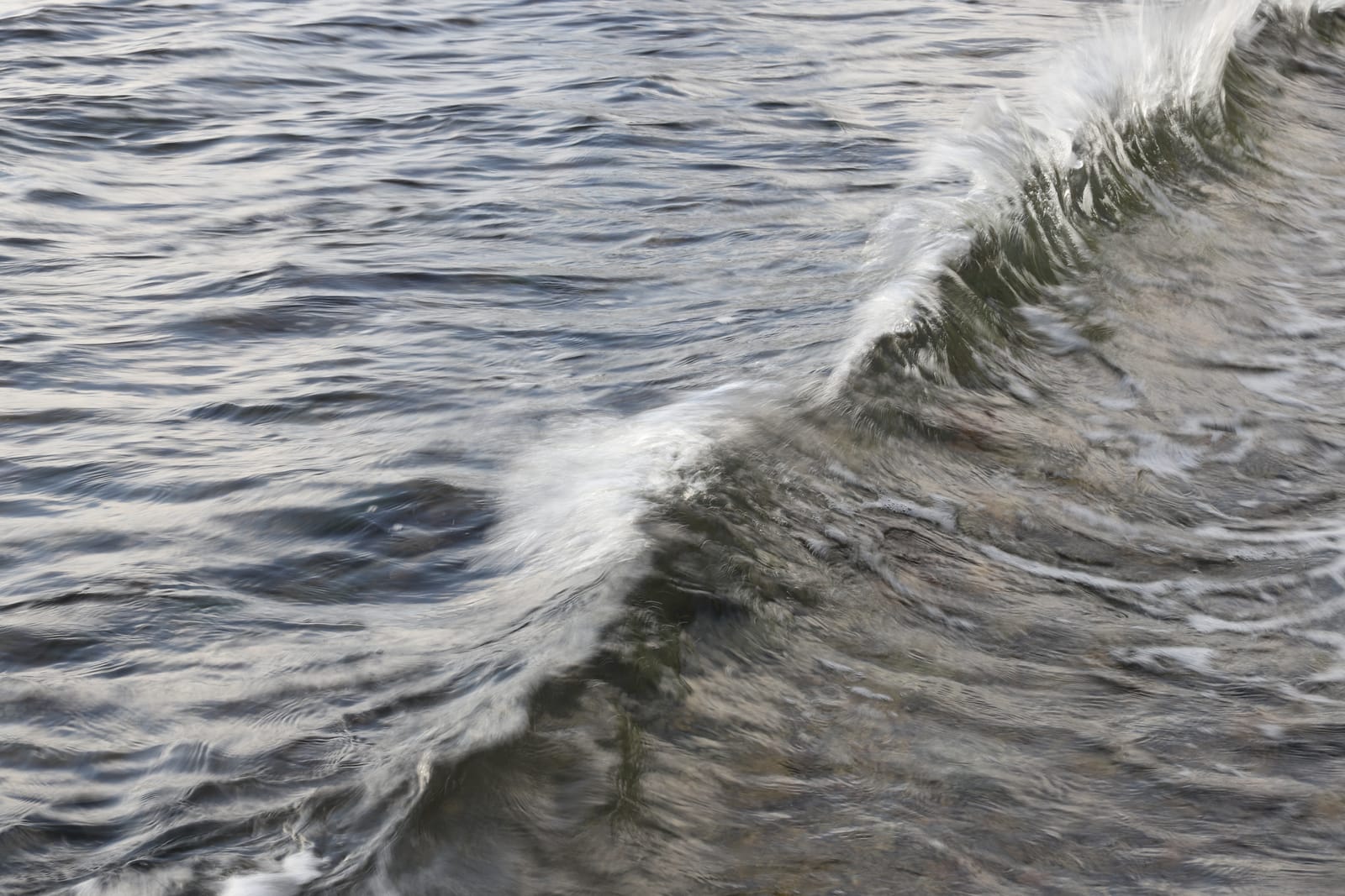Wave Crest