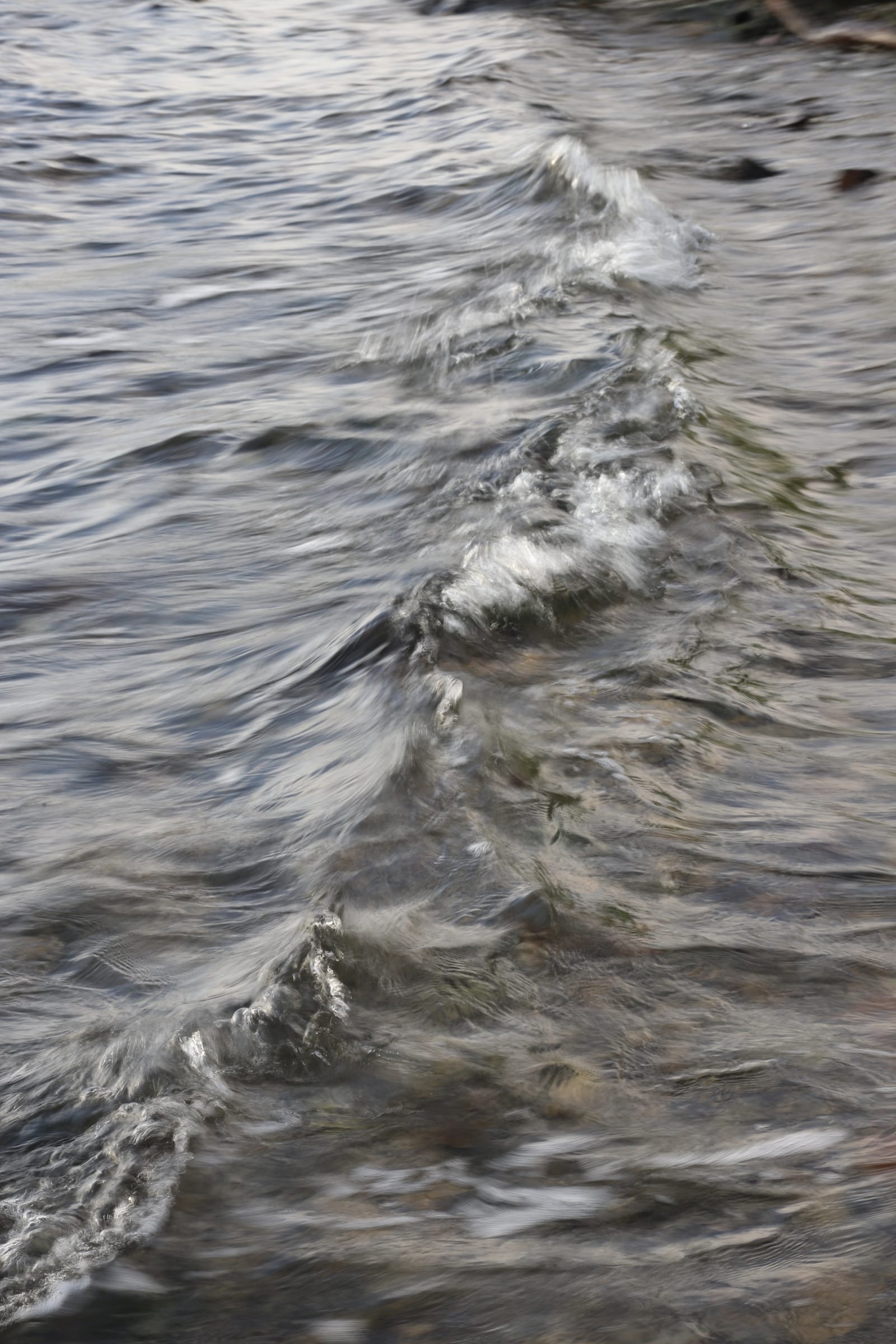 Wave