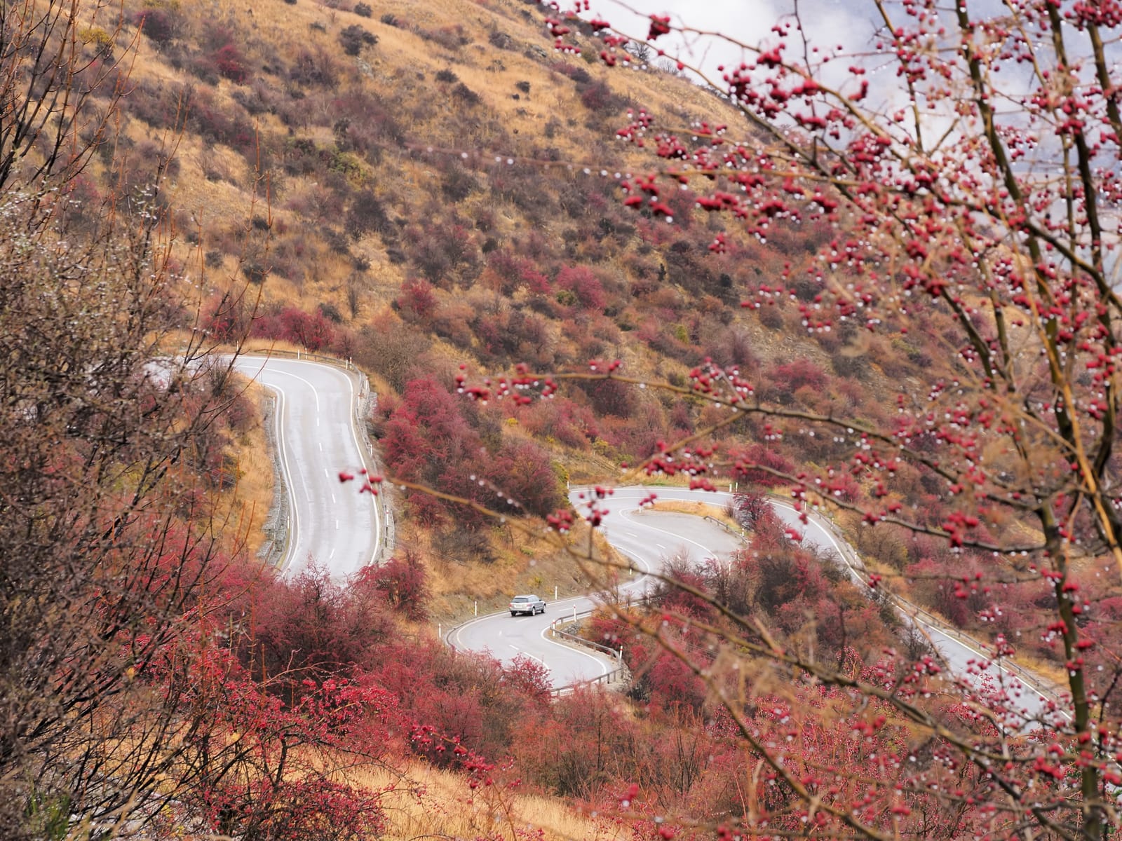 Winding Crown Range Road