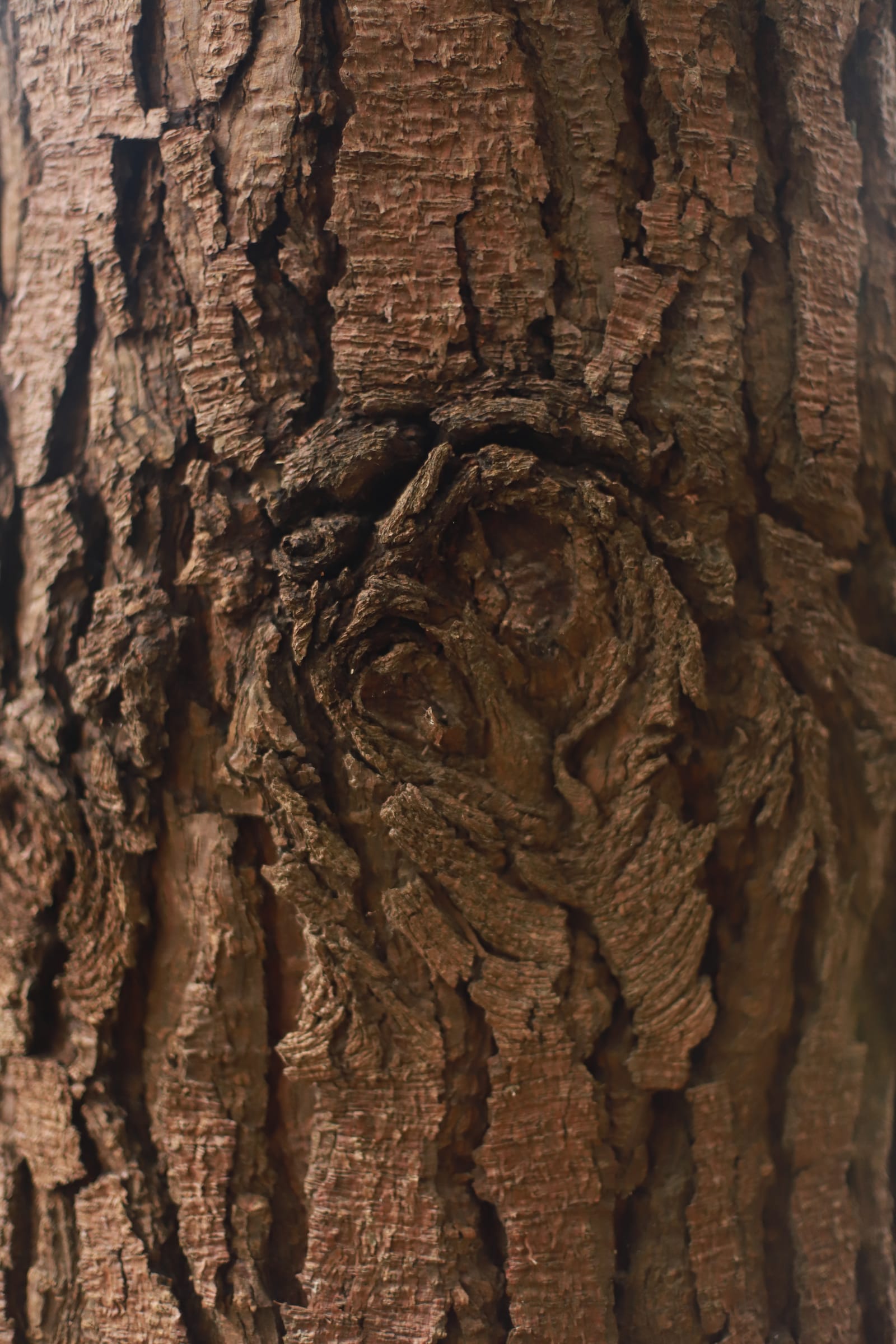 Wood patterns