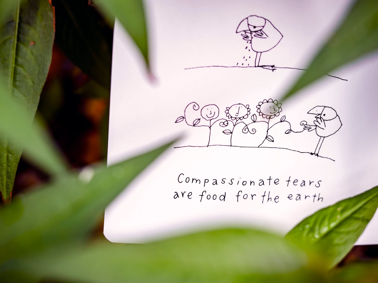 Compassion affirmation card