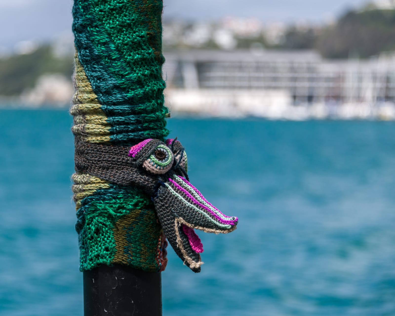 Crocodile Wellington Harbour