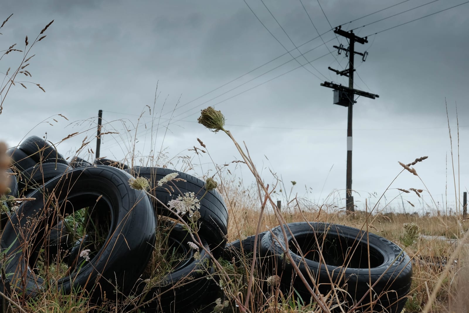 Discarded tyres in a grassy field