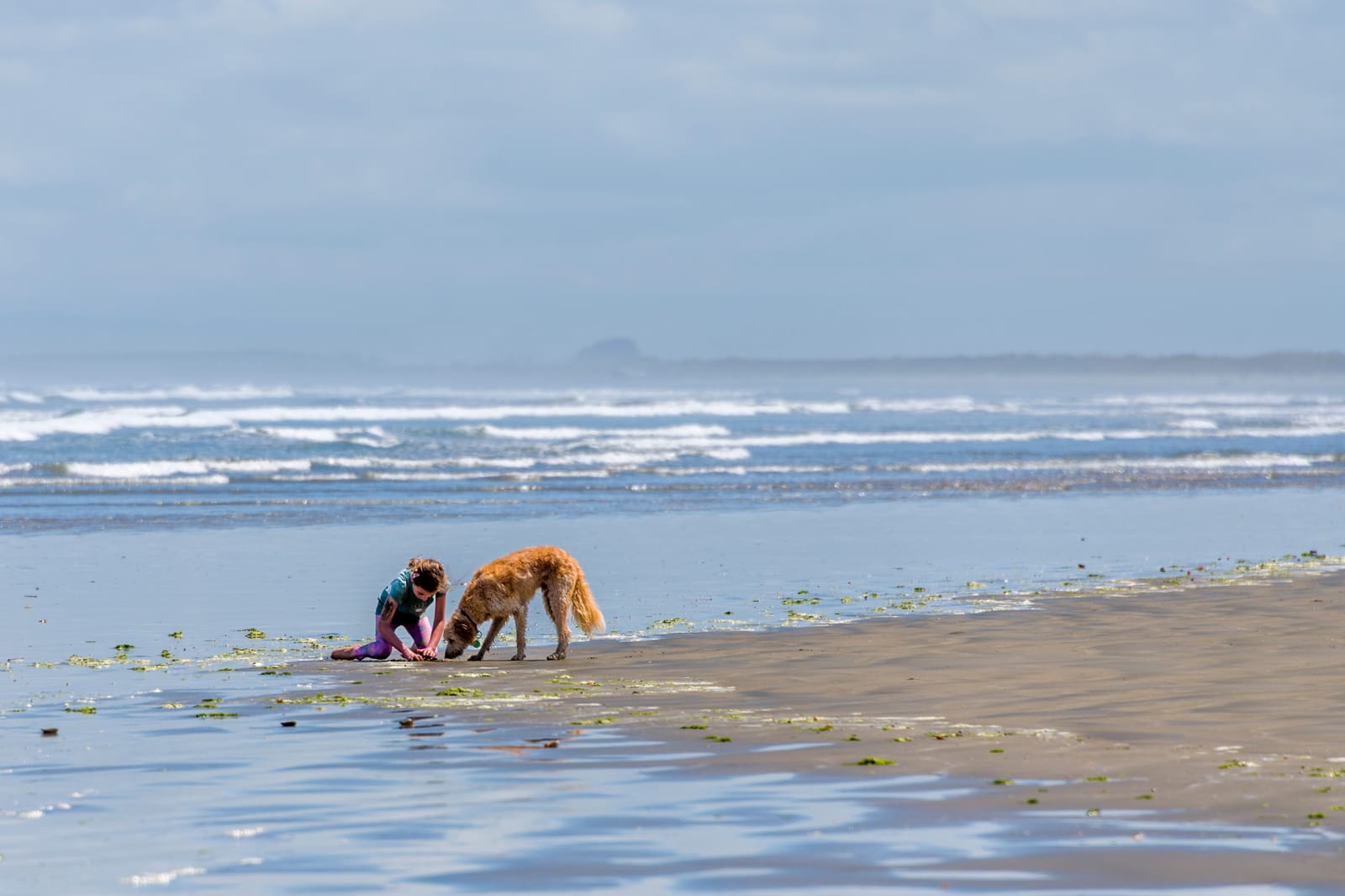 Girl and dog on beach