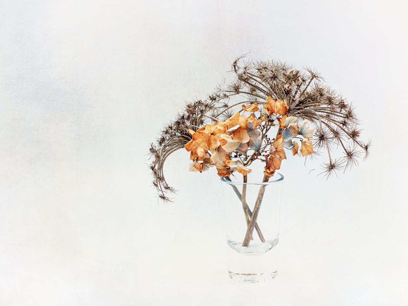 Dried flowers