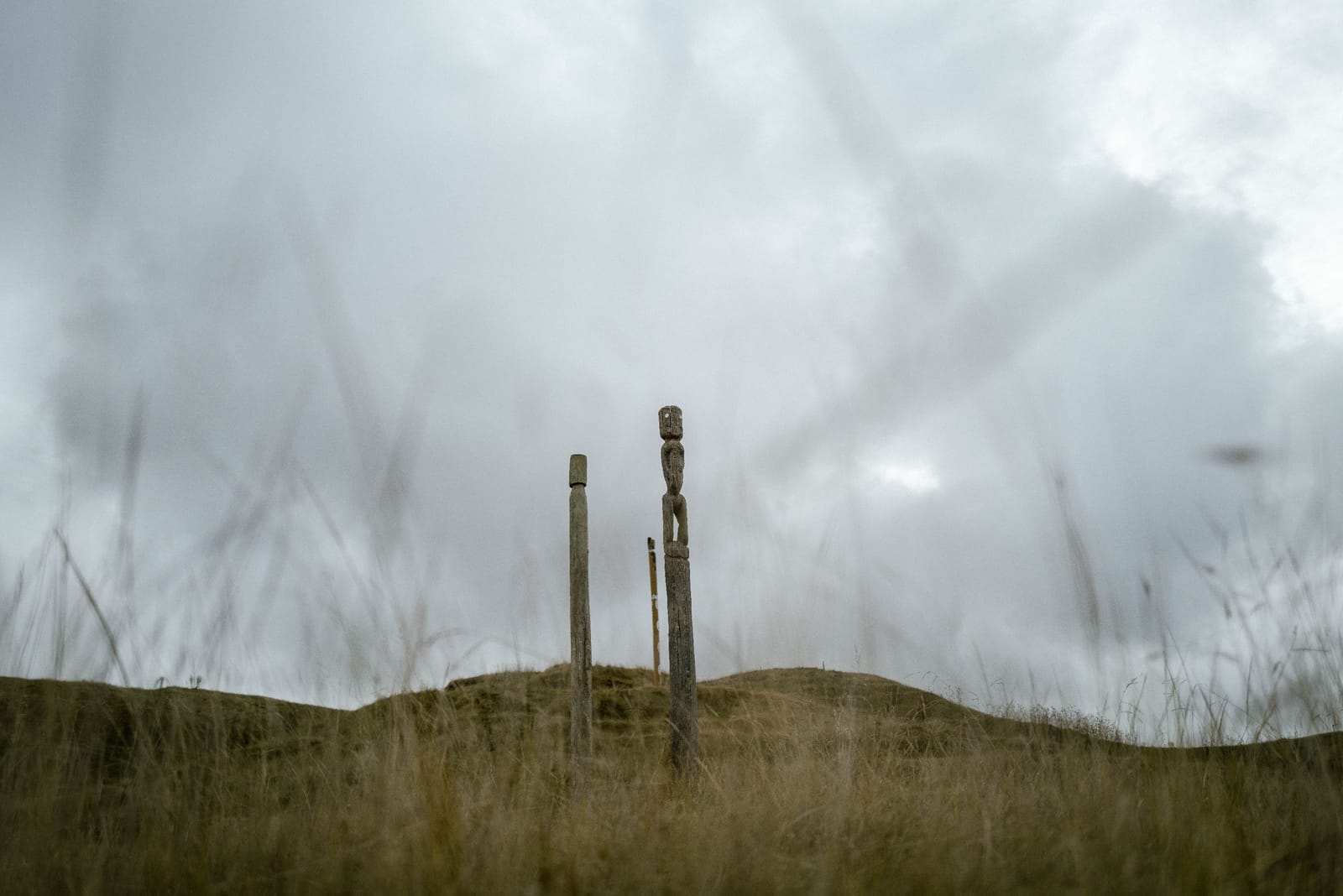 Three pouwhenua in windswept grass at Ōtātara Pā