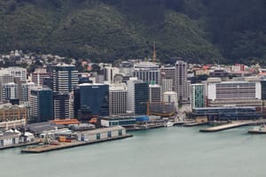 Wellington CBD post feature image