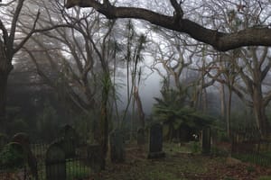 Foggy morning in the cemetery post feature image