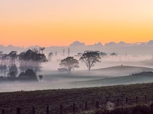 Rural landscape with morning mist fog post feature image