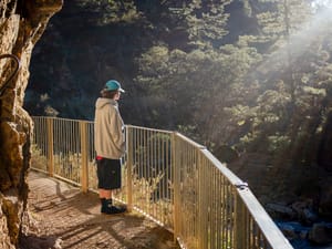 Young man Karangahake Gorge, Waihi post feature image