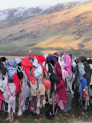 Bradrona Brafence Cardrona Queenstown post feature image