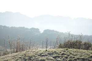 Dew-covered grass post feature image