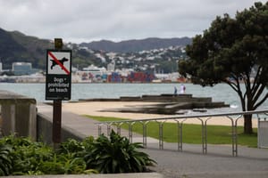Dogs Prohibited Beach Sign, Wellington post feature image