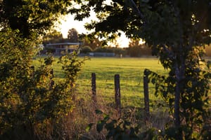 Field, Fence & House at Golden Hour post feature image