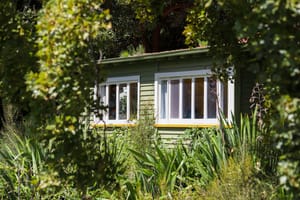 Green House in Overgrown Garden post feature image