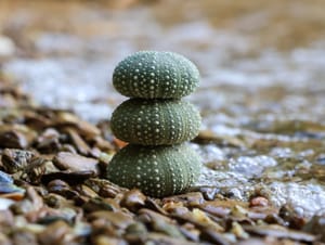 Kina tower post feature image