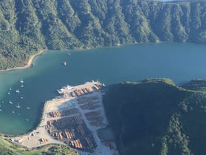 Shakespeare Bay, Log Terminal post feature image