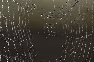 Spider Web post feature image