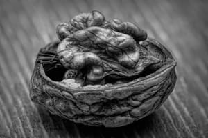 Walnut post feature image