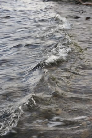 Wave post feature image