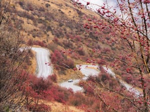 Winding Crown Range Road post feature image