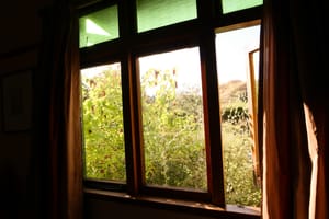 Window View with Sunlight post feature image
