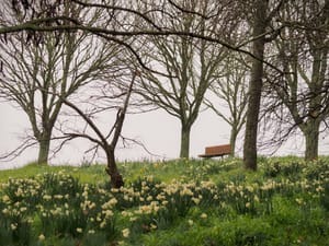Winter Flowers Trees Seat post feature image
