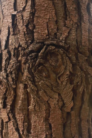 Wood patterns post feature image