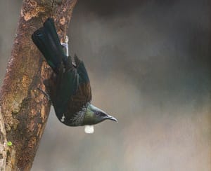 A different perspective post feature image