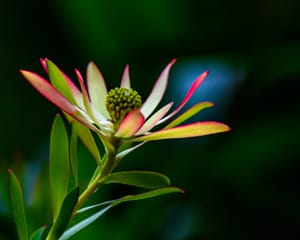 Bright post feature image