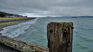 Coastal post with moss post feature image