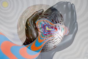 Fern ball in hands post feature image