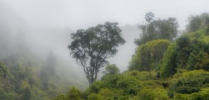 Mist over the Remutakas post feature image