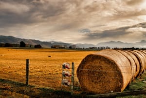 On the farm post feature image