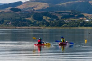 Paddlers Pauatahanui Harbour post feature image