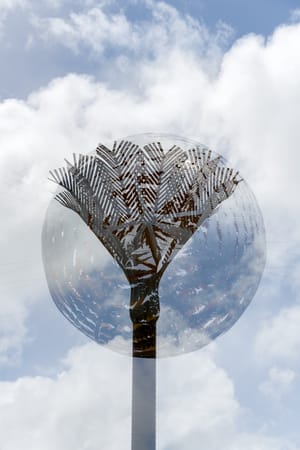Palm tree with fern ball post feature image