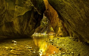 Patuna gold post feature image