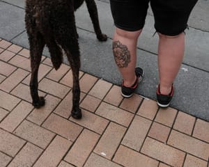 Pedestrians post feature image