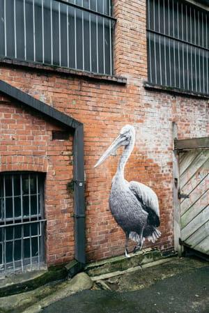 Pelican mural on brick wall post feature image