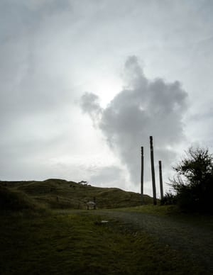 Pouwhenua at Ōtātara Pā post feature image